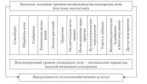 Почему белеют листья у огурцов в теплице