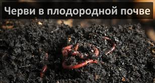 Станок для опороса свиноматки своими руками: чертежи, размеры