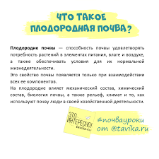 Осенняя подкормка пчел: стимулирующая, когда кормить, как подкормить старым медом, медовой сытой