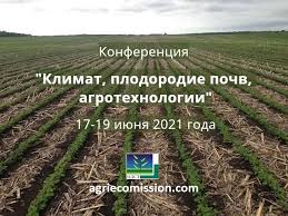 Как хранить картофель зимой в погребе 