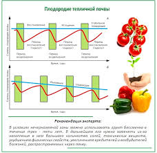Самые урожайные сорта кабачков