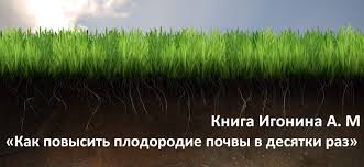 Сроки посева огурцов на рассаду