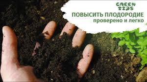 Сорт картофеля жуковский ранний: характеристика, отзывы