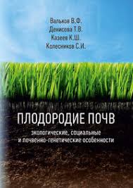 Хризантема корейская: выращивание из семян