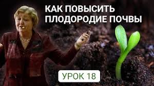 Томат король королей: характеристика и описание сорта, фото, отзывы