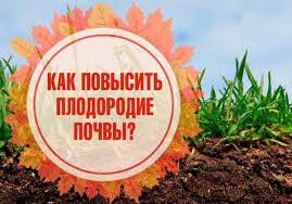 Прицеп для пчел: платформа, для легкового автомобиля, как сделать своими руками