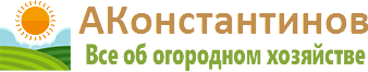 Андрей Константинов